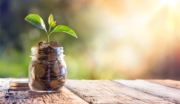 Money Smart Savings